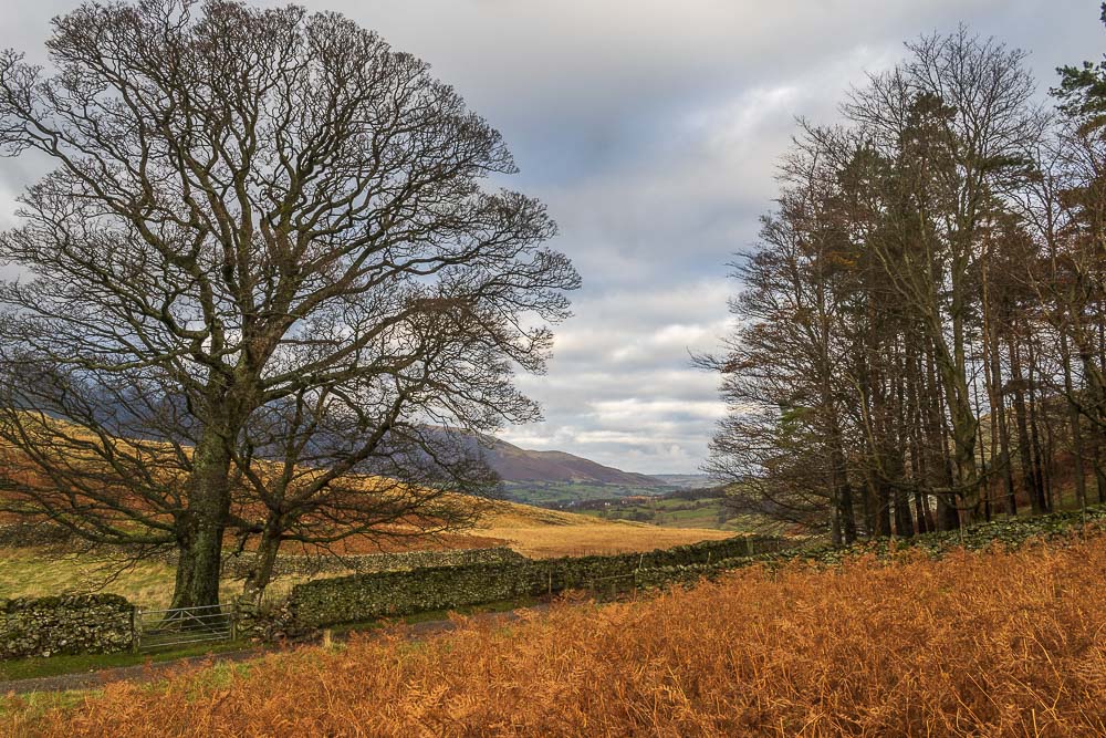 Blencathra Blencathra